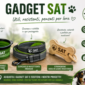 Empfohlene Gadgets SAT