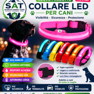 🐾 Collare LED di Sicurezza SAT