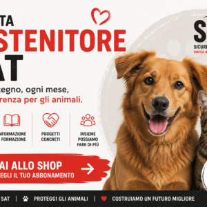 Abbonamenti