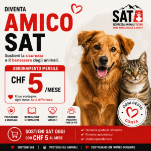 Amico SAT