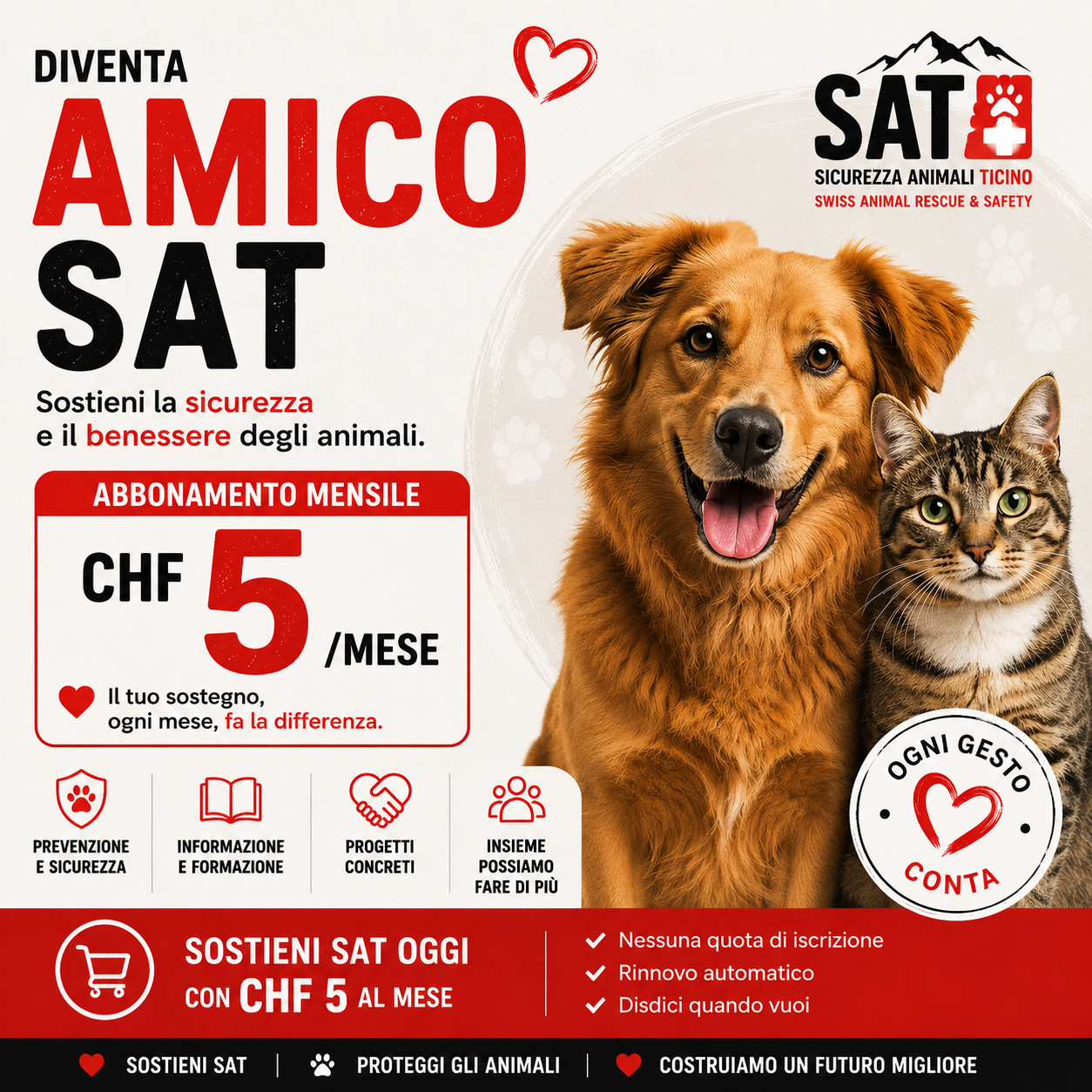 Amico SAT