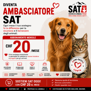 Ambasciatore SAT
