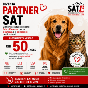 Partner SAT
