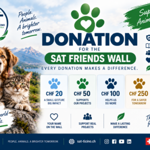 SAT FRIENDS WALL - Donazione