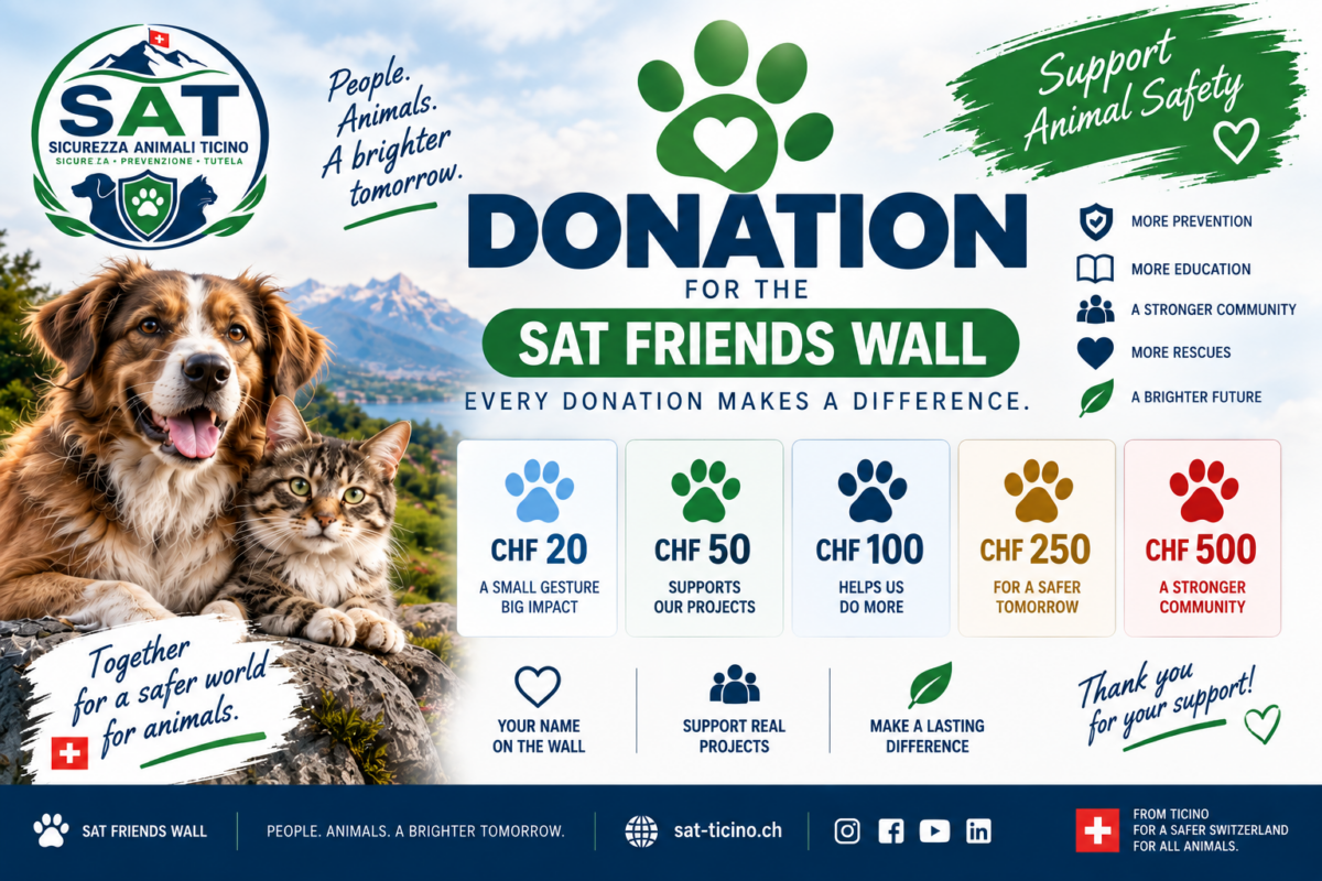 SAT FRIENDS WALL - Donazione